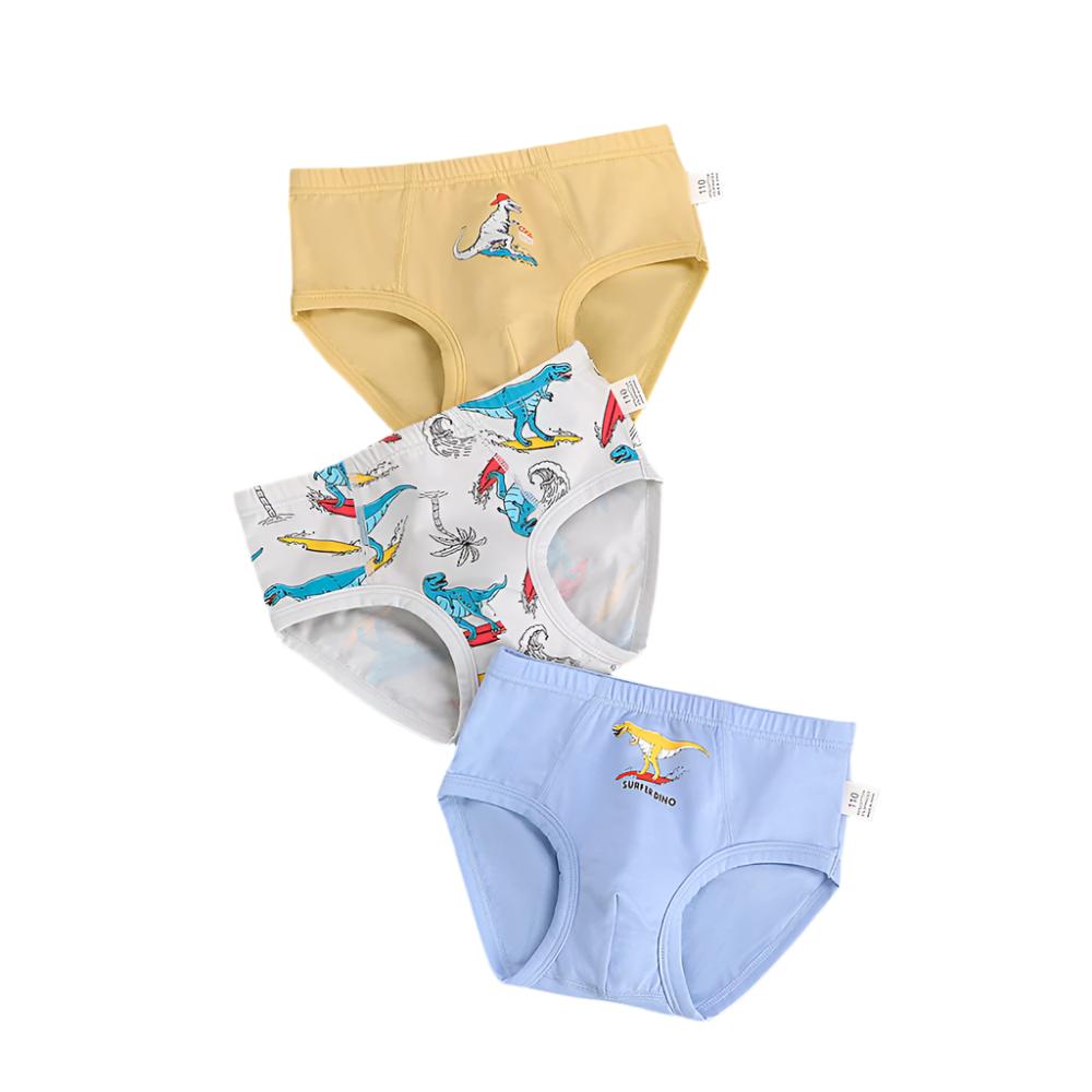 Boys Cartoon Printed Underwear Pants Set