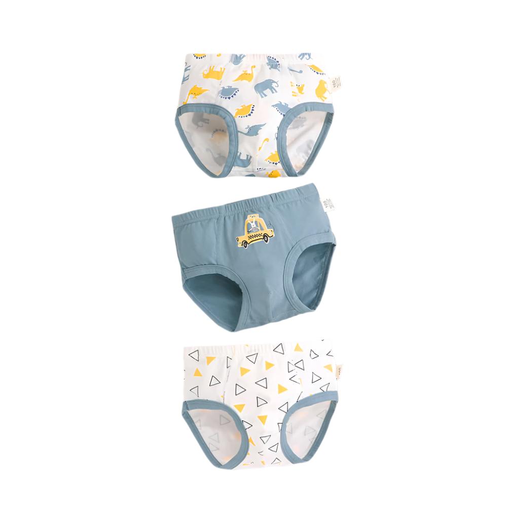 Boys Cartoon Printed Underwear Pants Set
