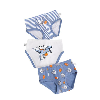 Boys Cartoon Printed Underwear Pants Set