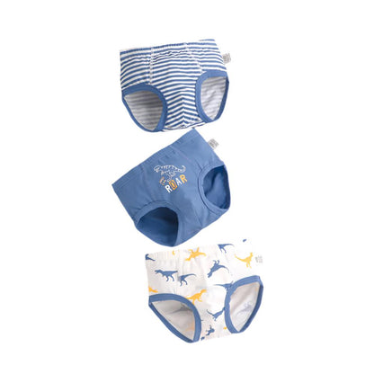 Boys Cartoon Printed Underwear Pants Set