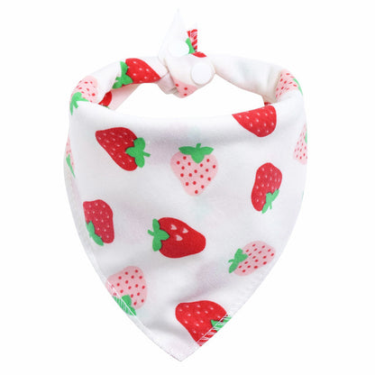Hankie Baby Bib